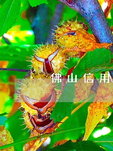 佛山信用卡逾期8次 房贷 佛山信用卡逾期8次 房贷